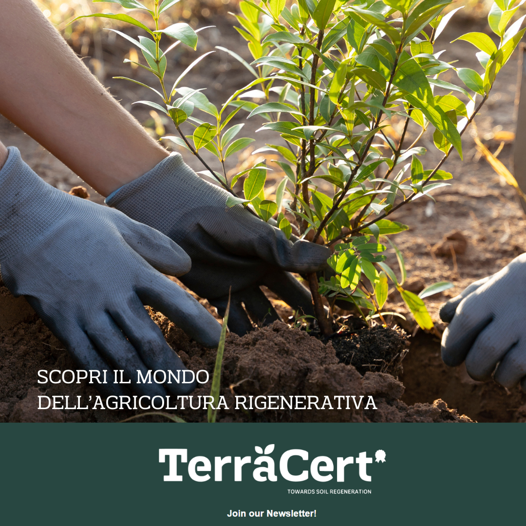 Terracert: piattaforma per le competenze in agricoltura rigenerativa